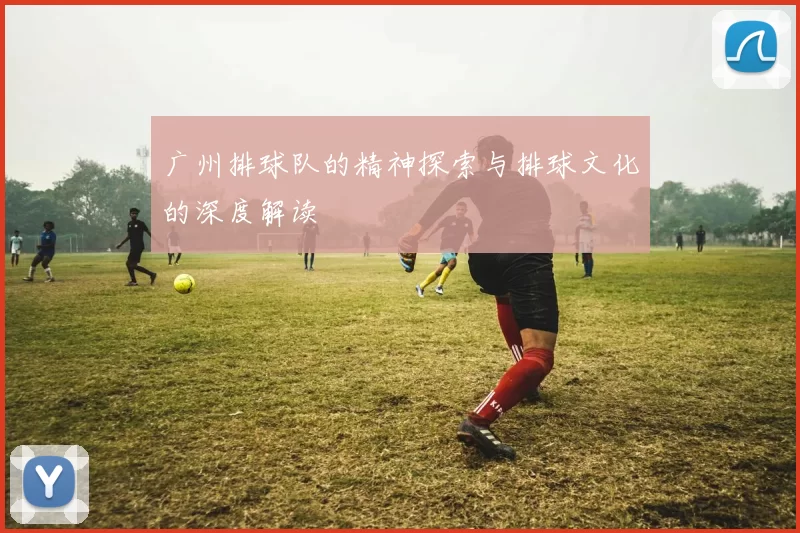广州排球队的精神探索与排球文化的深度解读