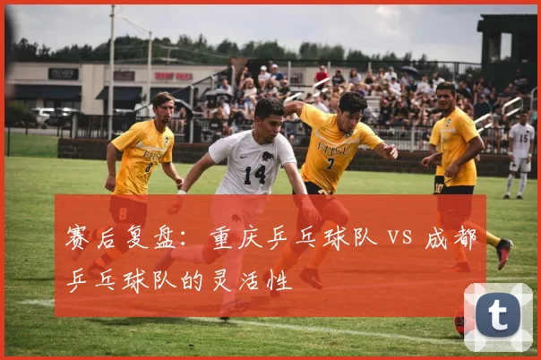 赛后复盘：重庆乒乓球队 vs 成都乒乓球队的灵活性