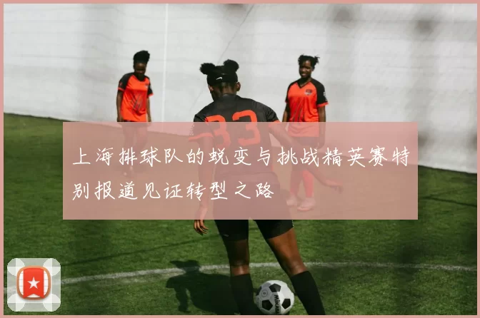 上海排球队的蜕变与挑战精英赛特别报道见证转型之路