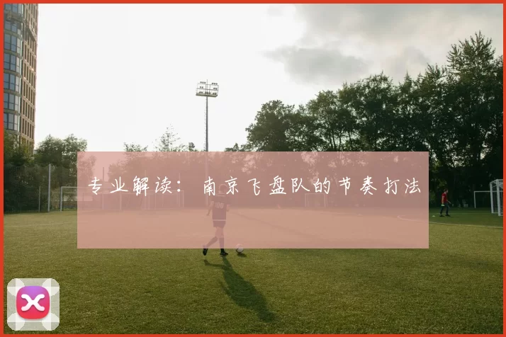 专业解读：南京飞盘队的节奏打法