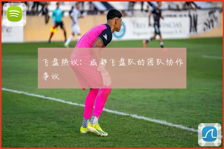 飞盘热议：成都飞盘队的团队协作争议