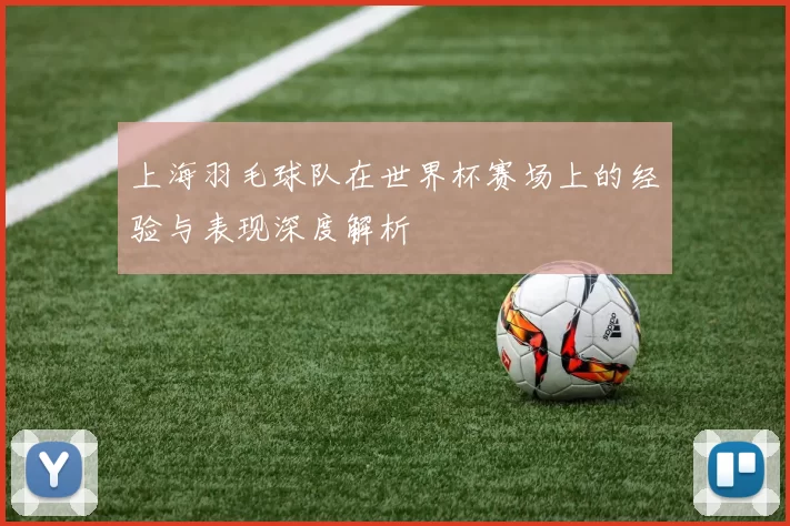 上海羽毛球队在世界杯赛场上的经验与表现深度解析