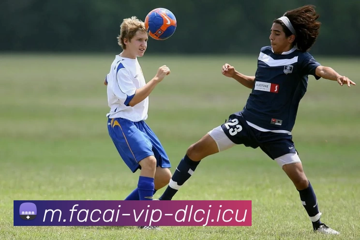 米兰体育注册平台生态图